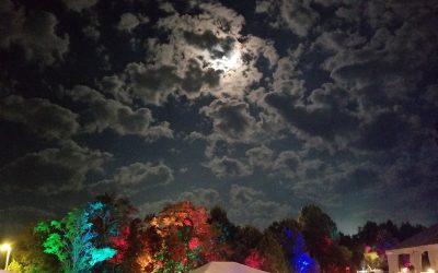 Episode 158: Road Trip Mojo Music – Festivals Explored