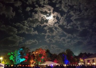 Episode 158: Road Trip Mojo Music – Festivals Explored