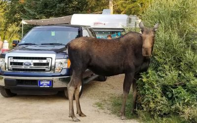 You’re at Camp… Now What?