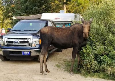 You’re at Camp… Now What?