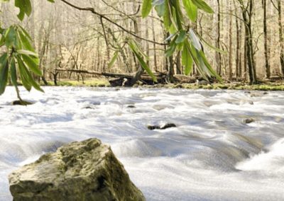 The Gatlinburg Trail in Great Smoky Mountains National Park