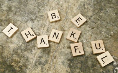 What Are You Thankful For?