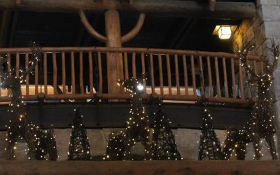 Christmas Decorations with a Camping Theme