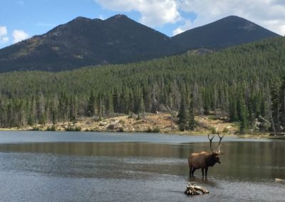 Rocky Mountain National Park & Moraine Park Campground