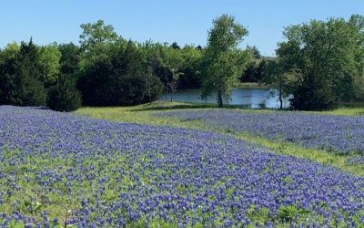 Take a break and get outside!