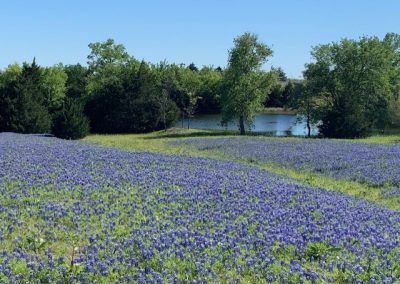 Take a break and get outside!