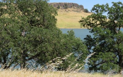 Camp at Black Butte Lake for Exploring and Water Sports