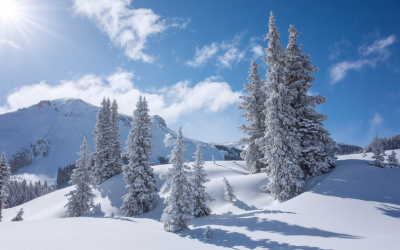 Merry Christmas from Colorado