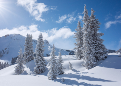Merry Christmas from Colorado