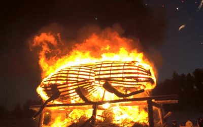 BURNING BEETLE EVENT NOT TO BE MISSED