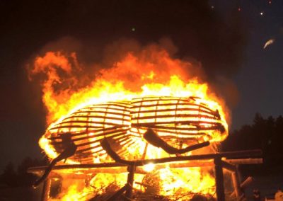 BURNING BEETLE EVENT NOT TO BE MISSED