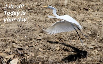 Lift Off – Today is Your Day!