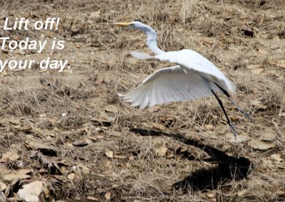 Lift Off – Today is Your Day!