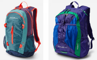 Eddie Bauer Stowaway Packable Daypack