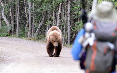 Be Bear Prepared on the Trail