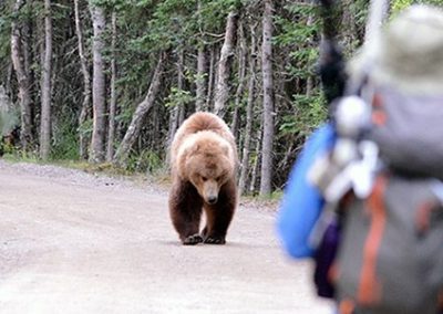 Be Bear Prepared on the Trail