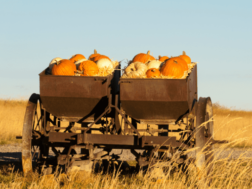 Fall Y’all – Salt Lick, KY