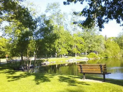 DOWN BY THE RIVER, MICHIGAN