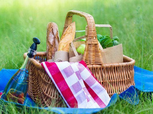 Picnic at Tiki Love Farm – New Jersey