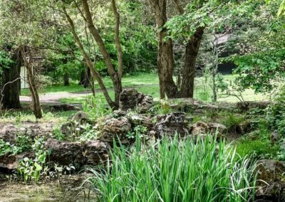 Bernheim Arboretum and Research Forest