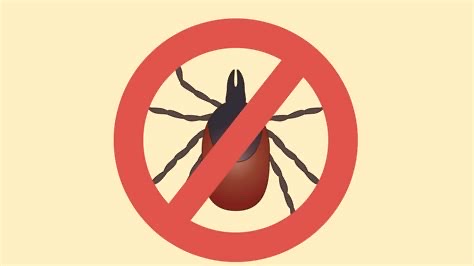 Avoiding Ticks and their Diseases