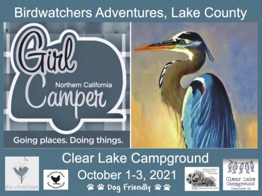 Bird Watching Adventures, Clear Lake, CA