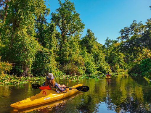 Tubing and Kayaking in Hot Hot Hot August! – Apopka, Florida