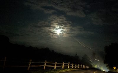Night Driving