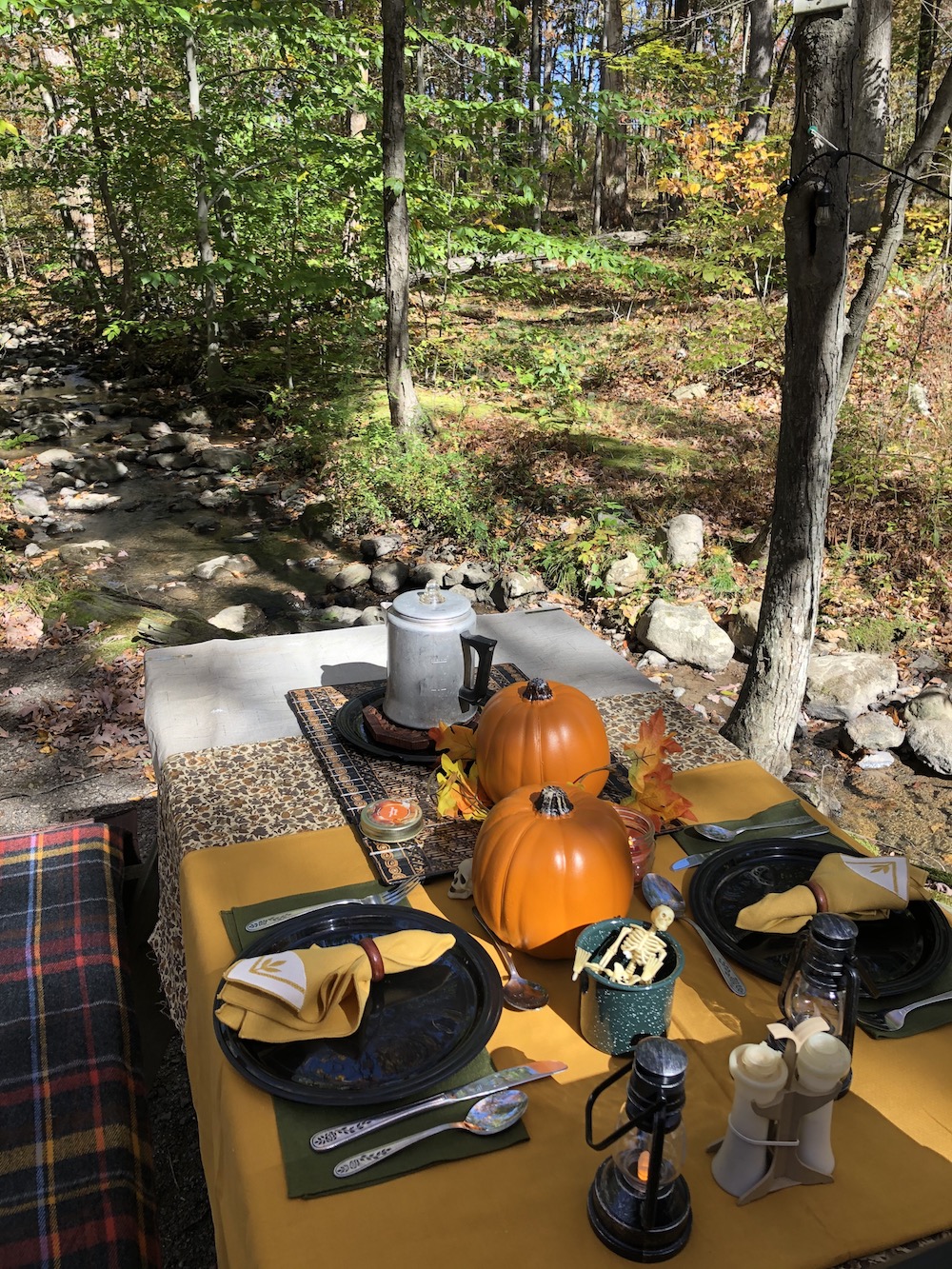 Holiday table with stream flowing beside