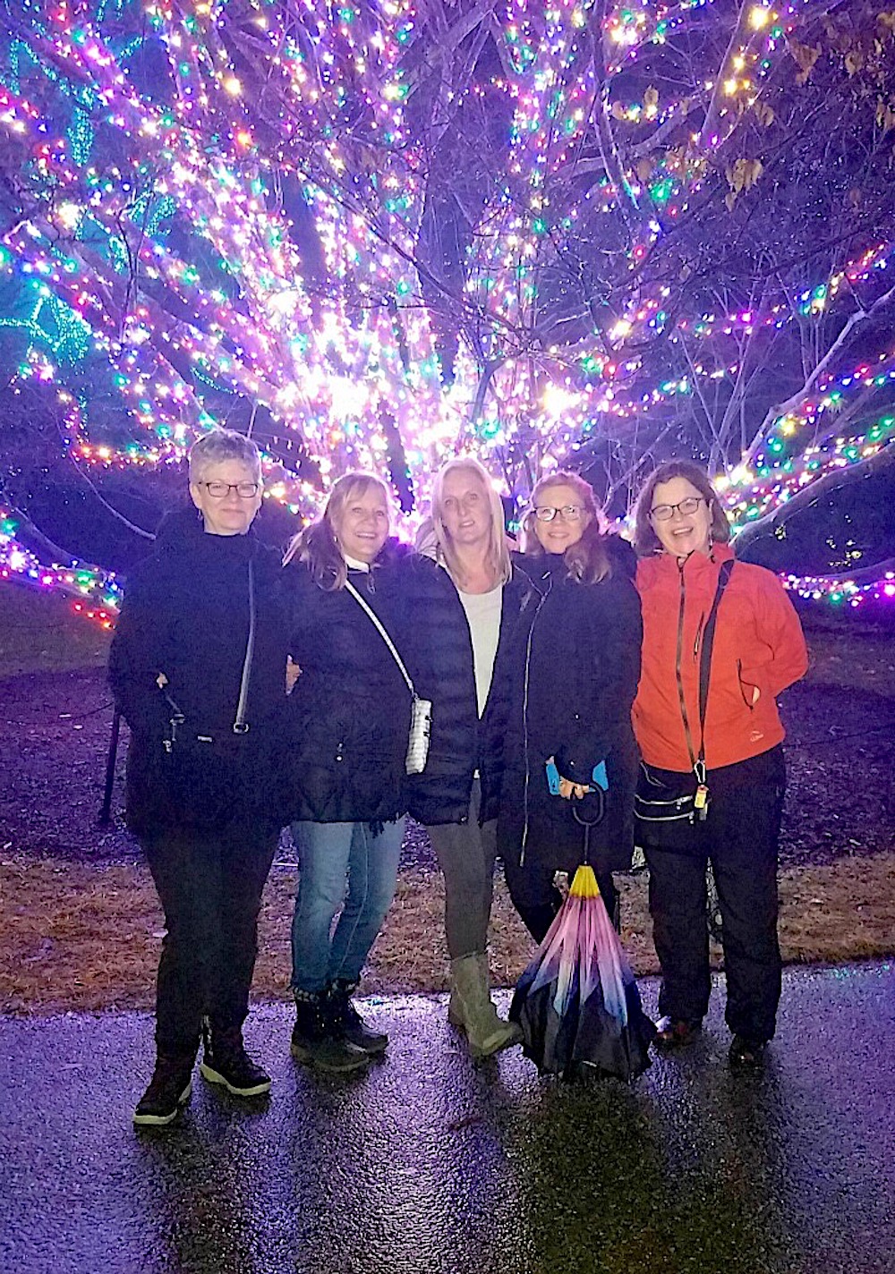 Outside with colorful tree