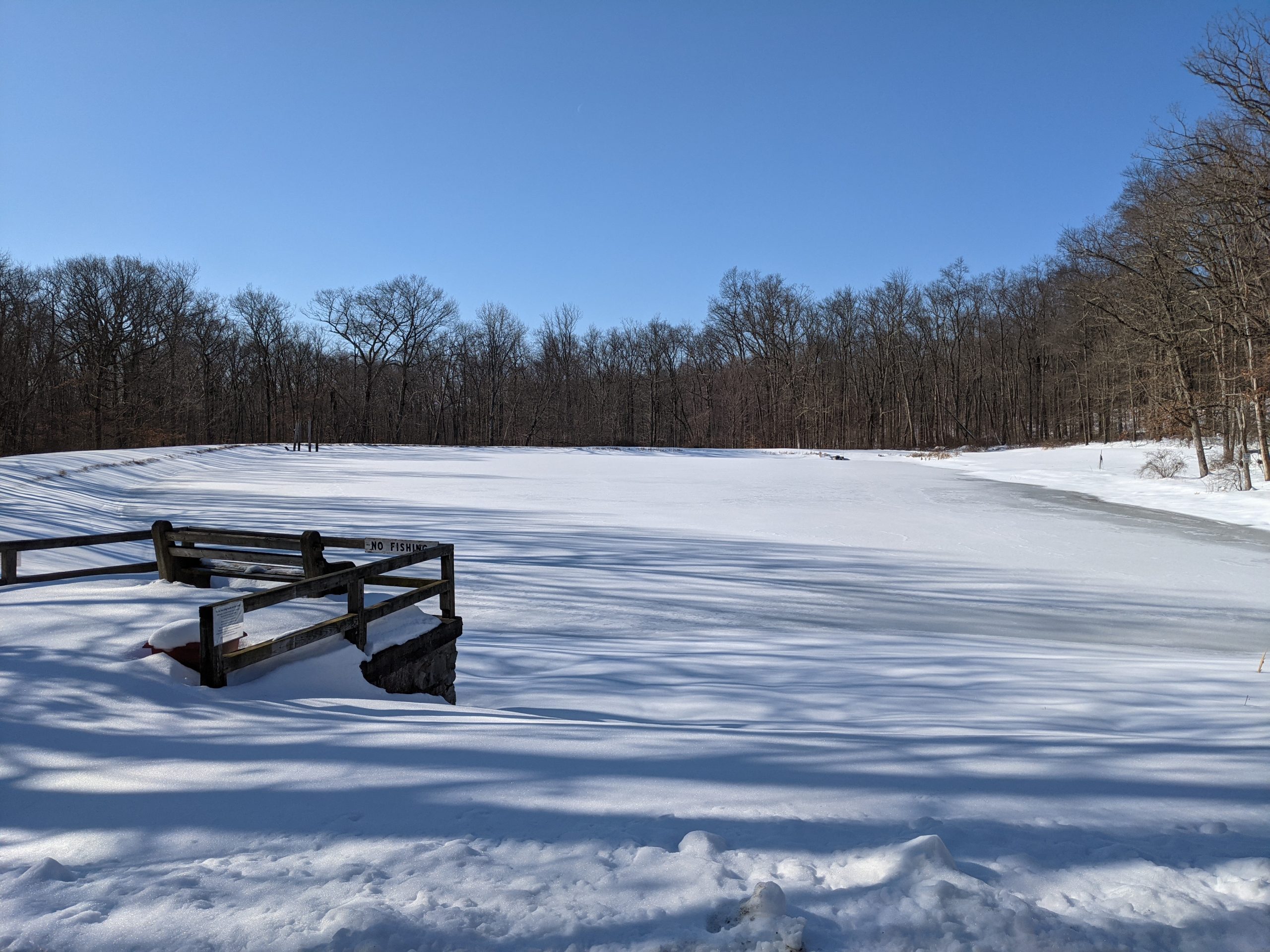 lake in winter