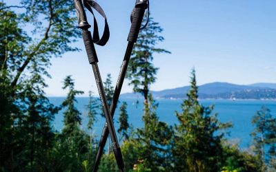 BAFX TREKKING WALKING HIKING POLES