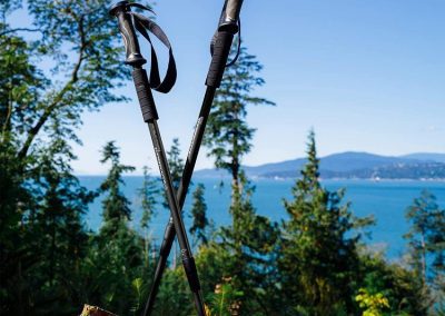 BAFX TREKKING WALKING HIKING POLES