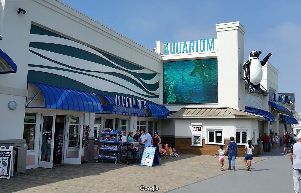 10 of the Best Aquariums in New Jersey - Aquarium From BoarDwalk V2