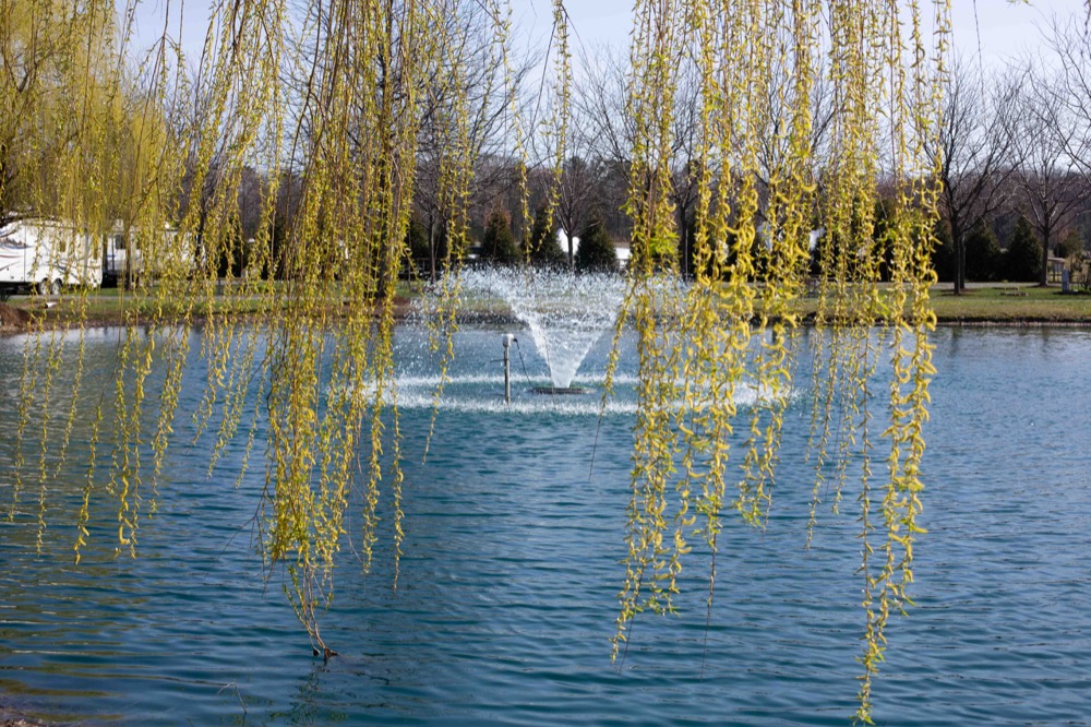 BayShore Campground pond