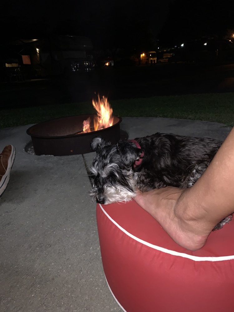 Inflatable pouf - with dog