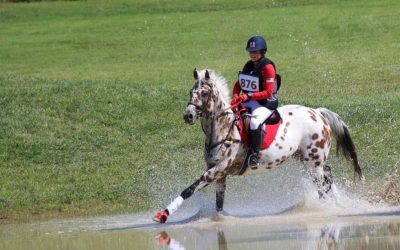 The Kentucky Horse Park