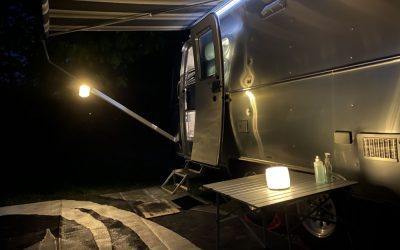 Luci light up the night