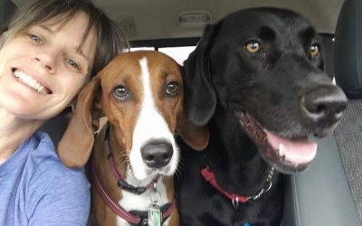 Camping With Pets