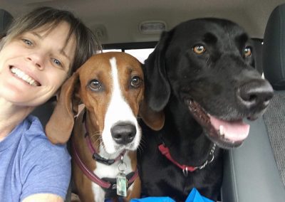 Camping With Pets