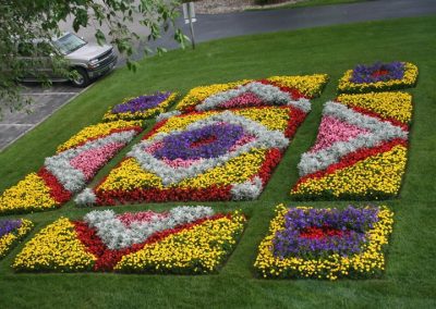 Patchwork and Plants