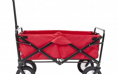 Rayma’s Little Red Wagon