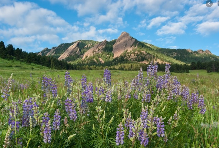 Chautauqua Park