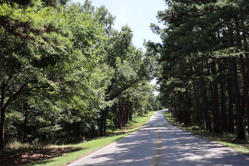 Sequoyah State Park drive through trees