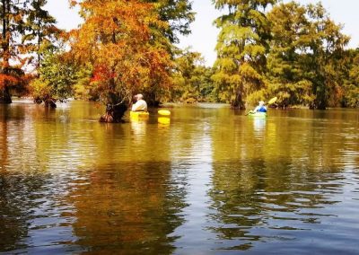 Trap Pond State Park, Laurel Delaware