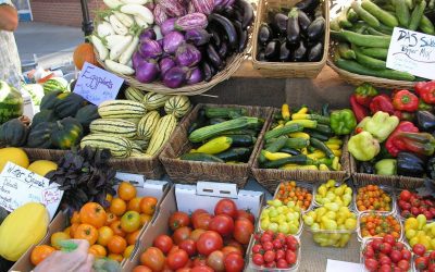 Local Finds: Boulder Farmer’s Market