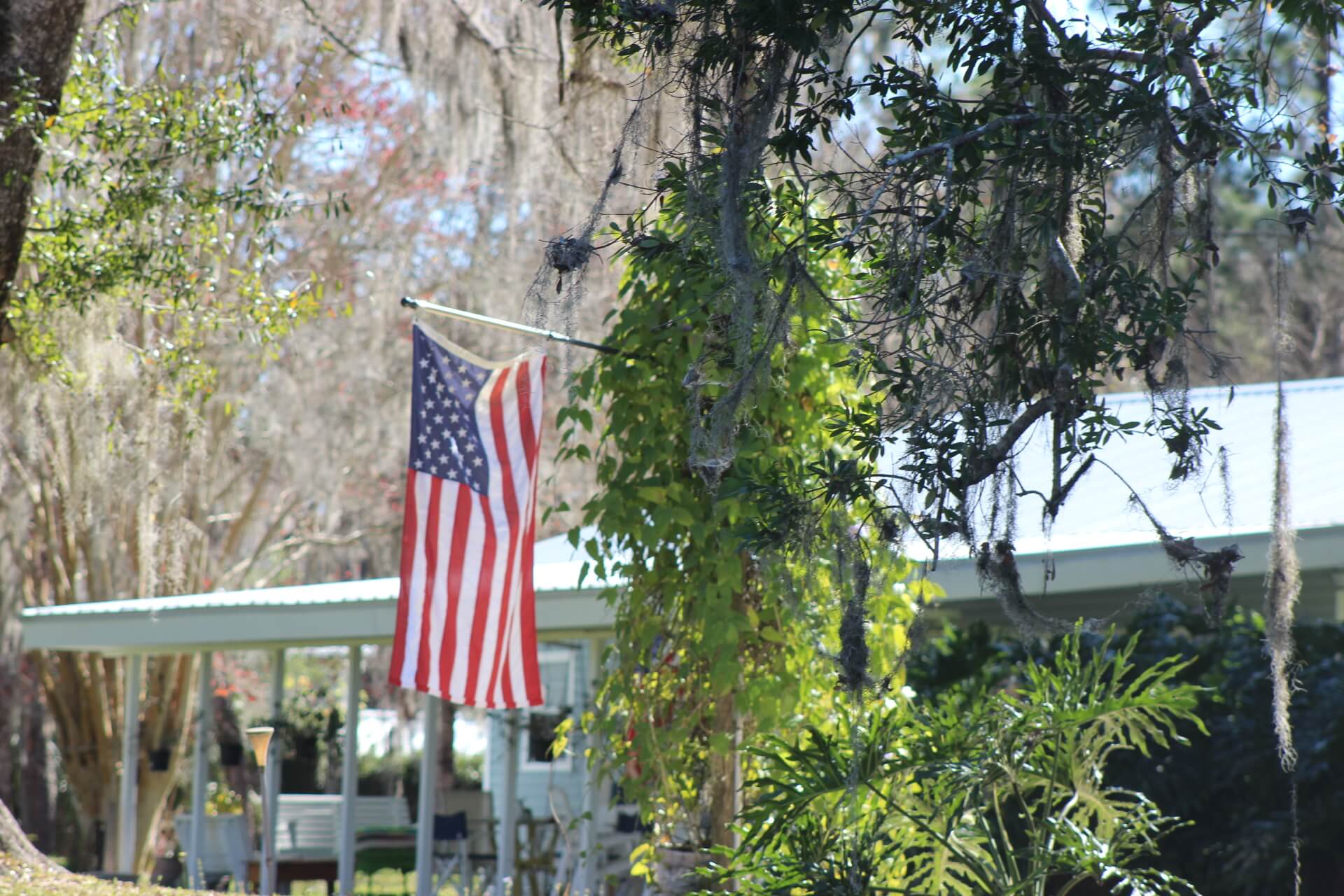 Flag in backyard as seen from Rainbow River