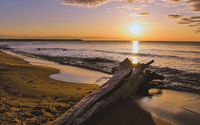 MI – Summer Sunsets