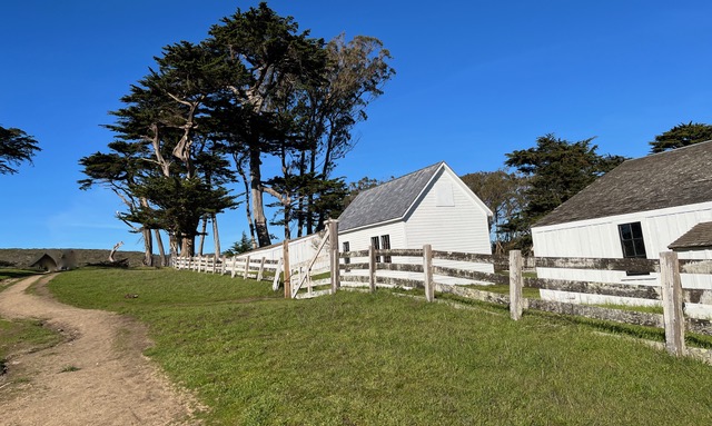 Tule Elk Reserve - Point Reyes National Seashore - Girl Camper