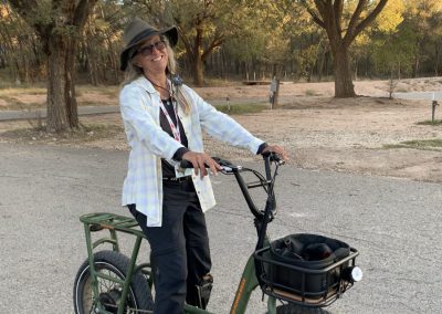 RAD POWER COMMUTER BIKE